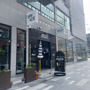 Avicii Experience (Stockholm 2024)