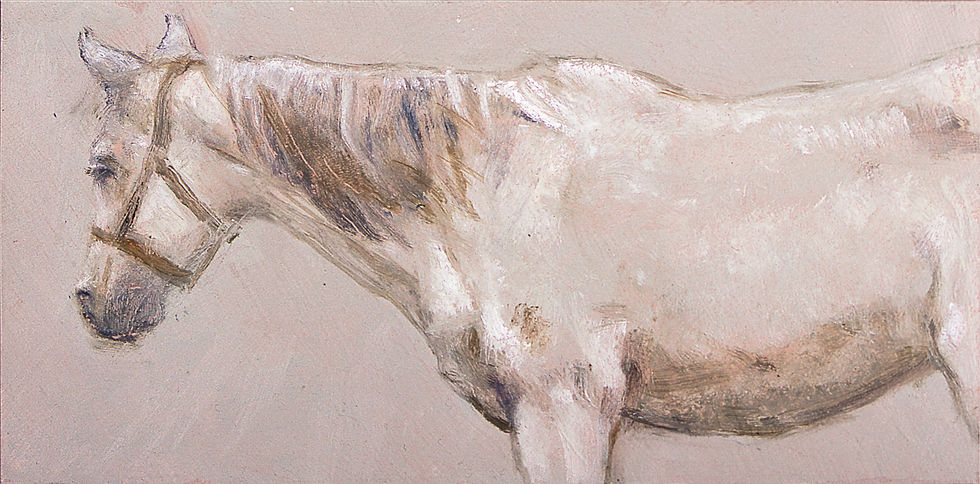 Mare in The Mist