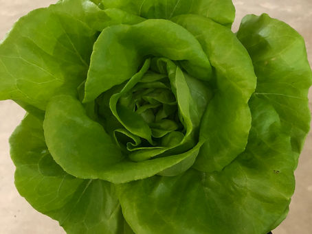 Online Shopping with ESH