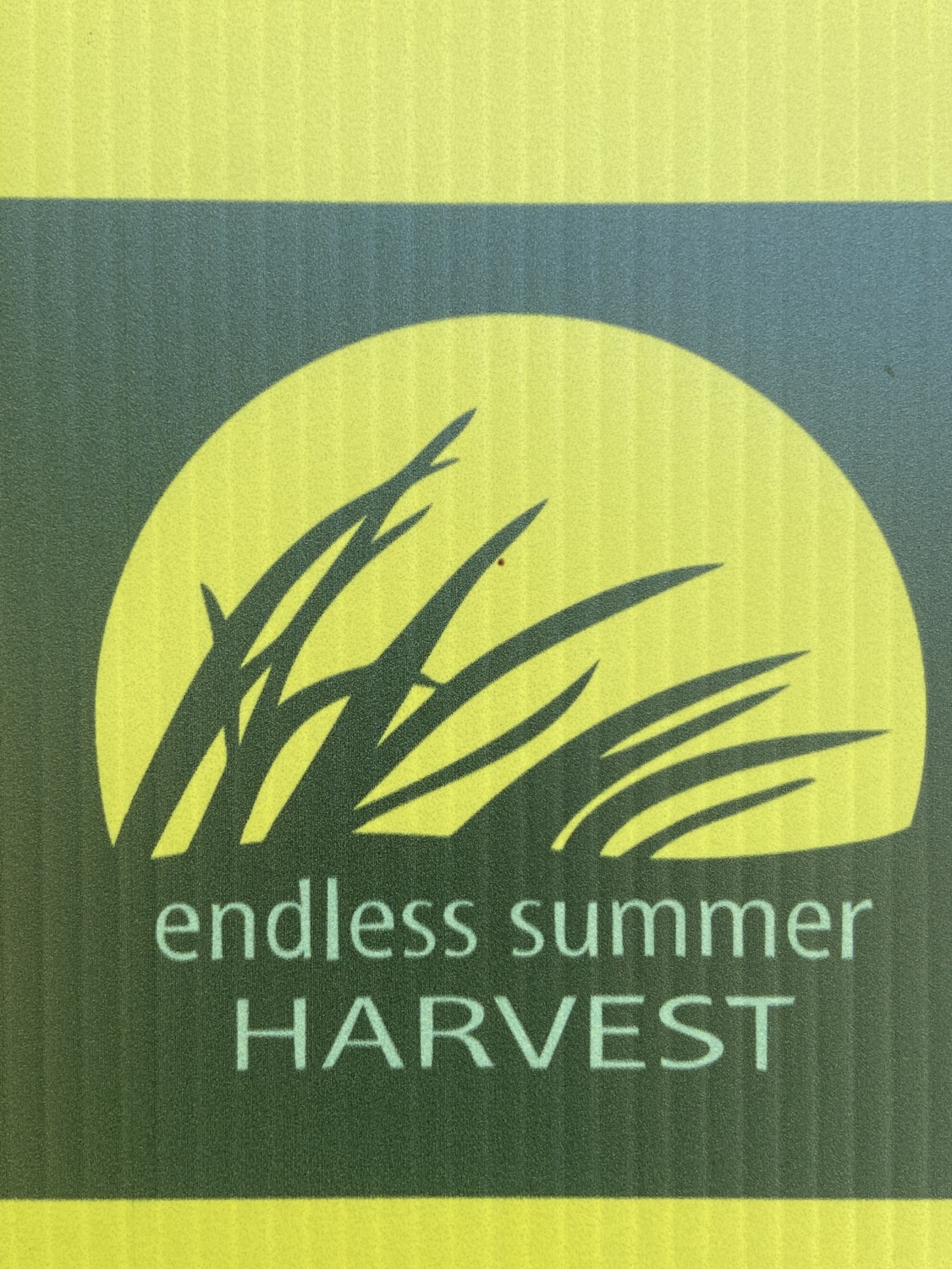Writer: Endless Summer Staff