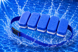 swim belt.png