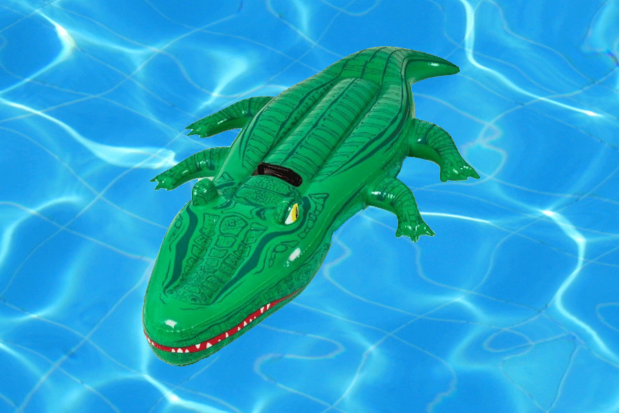 CROCODILE RIDE ON