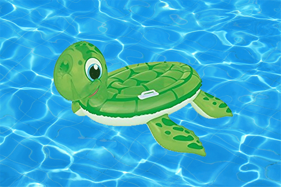 inflatable-turtle.gif