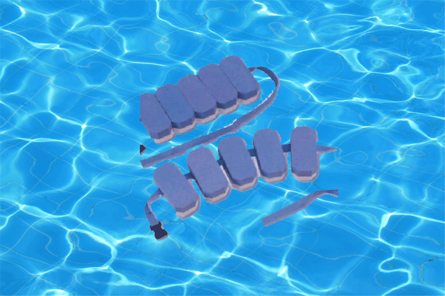 SWIM BELT