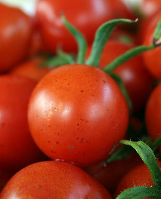 Cherry Tomatos