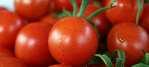 A stock photo of Cherry Tomatoes