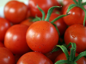 Cherry Tomatos