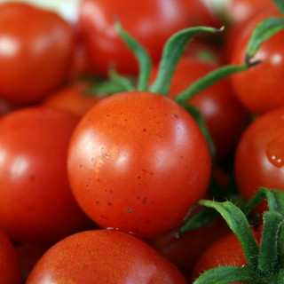 Tomates de cereja