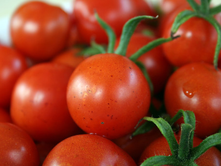 B.R.A.T. Tomatoes