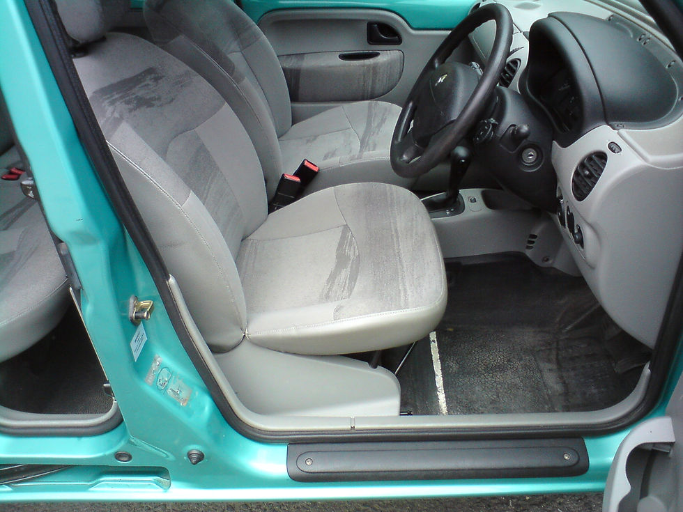Kangoo green 002