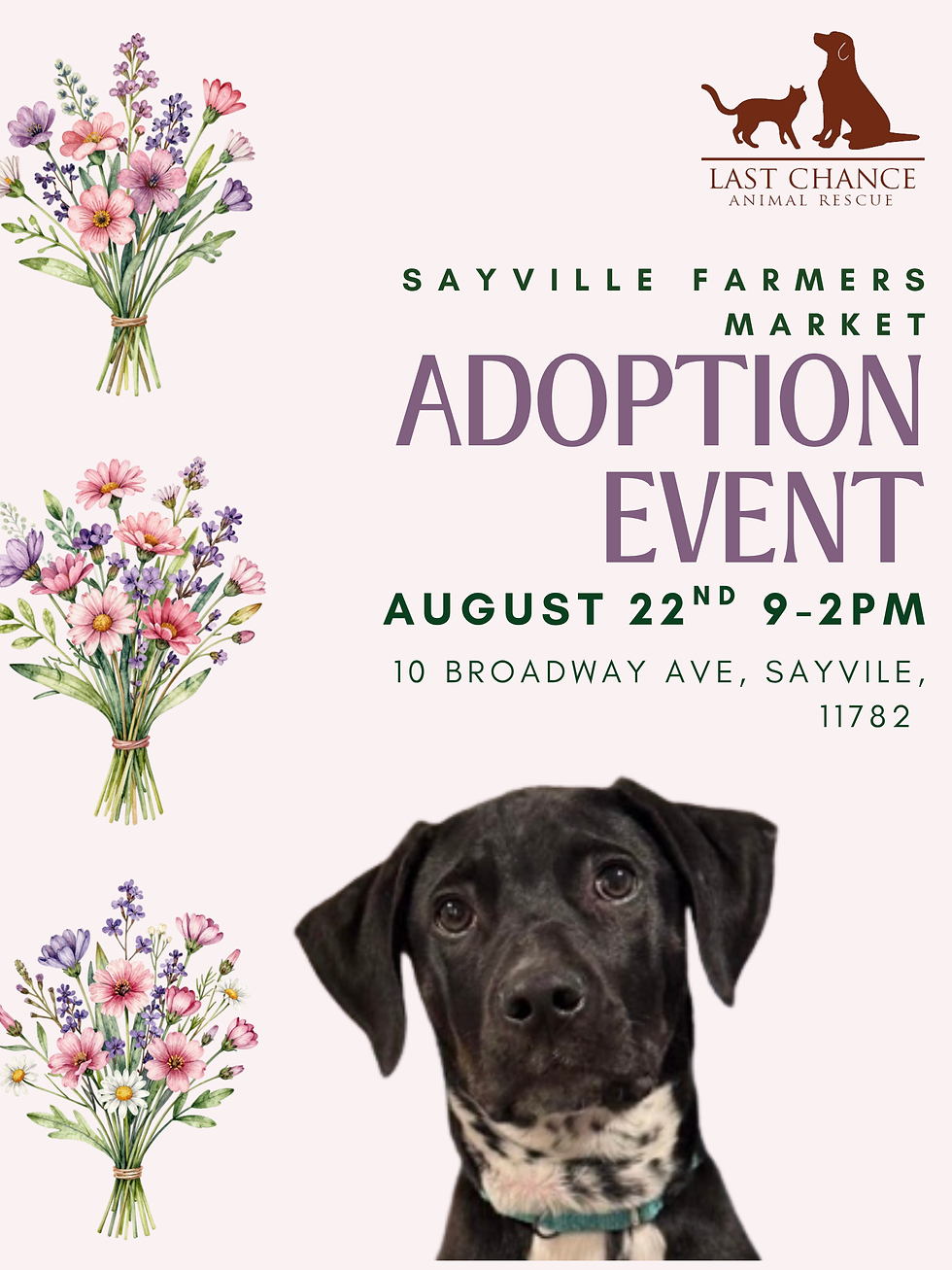 Sayville Farmer's Market