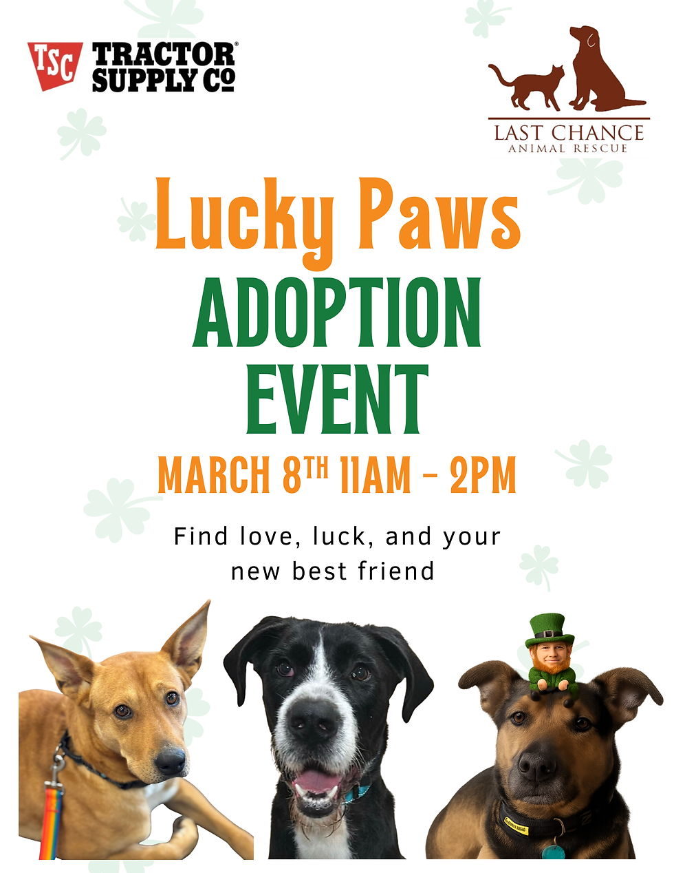 Lucky Paws Adoption Event