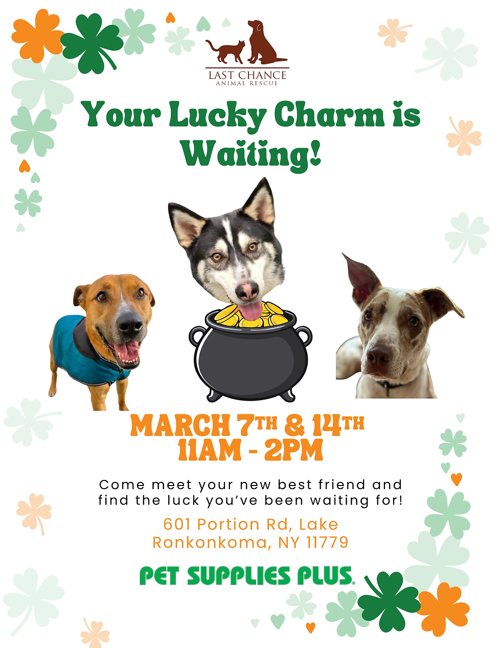 Meet Your Lucky Best Friend