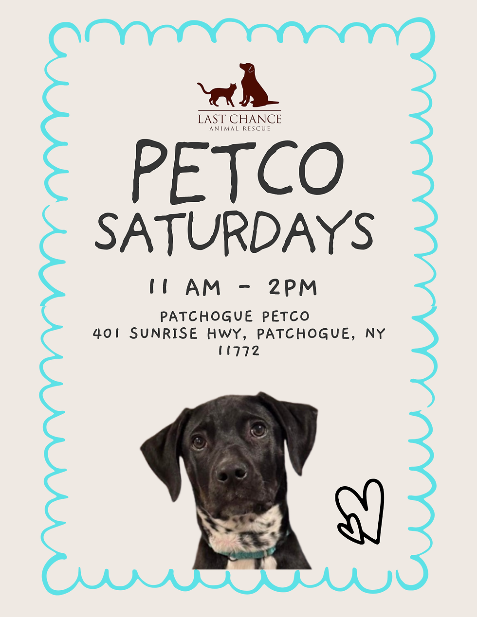 Dog Adoption Event at Petco Patchogue