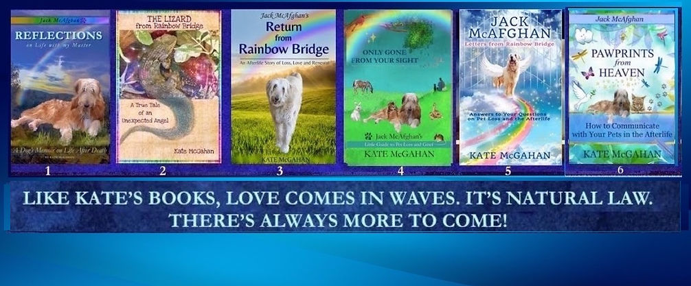 banner-1050629_1920 copy.jpg