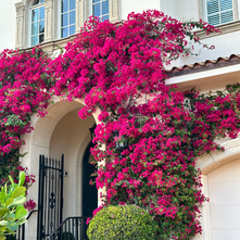 A 2-Day Palm Beach Dining & Exploring Itinerary