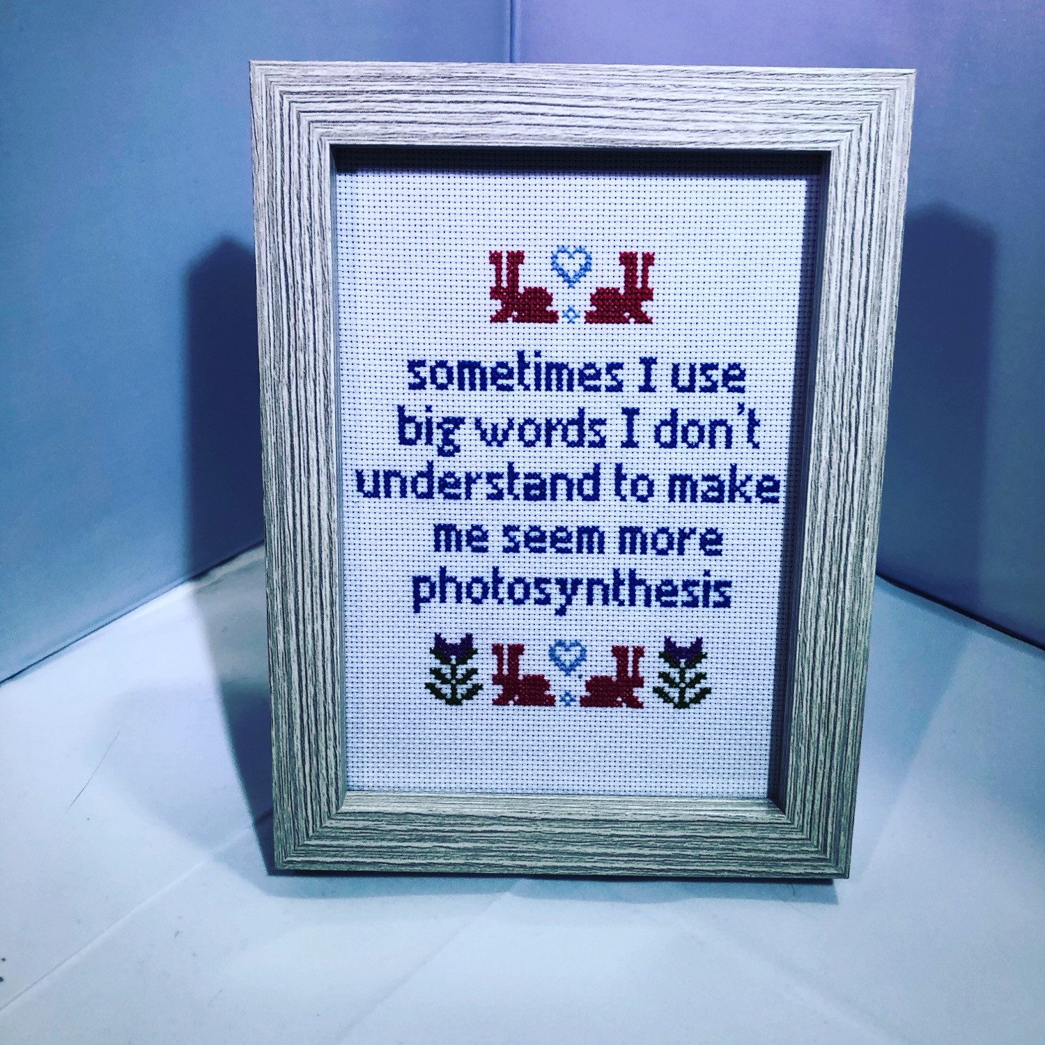 ‘Big words’ cross stitch