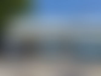 初夏の香りが真っ盛りですね