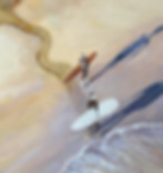 Tea Tree Morning, , National Park, Noosa, Australia, Queensland, surf club, surf fragment