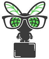 CultureFly_Bugs_smols.jpg