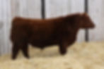 Red MCK Hunter 8H