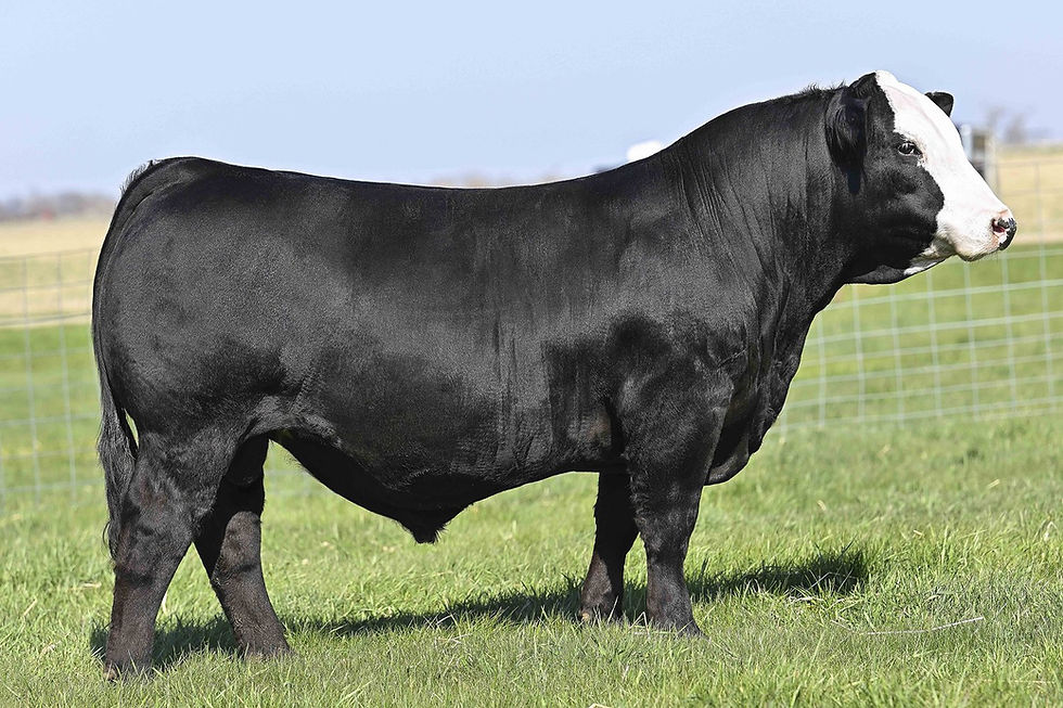 RFS Heavy Hitter H45