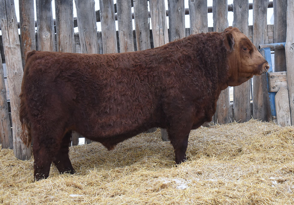 Circle G Regulator 70L