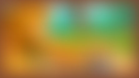 Stop Chasing Field Mice (4 Things Not Worth Your Time)