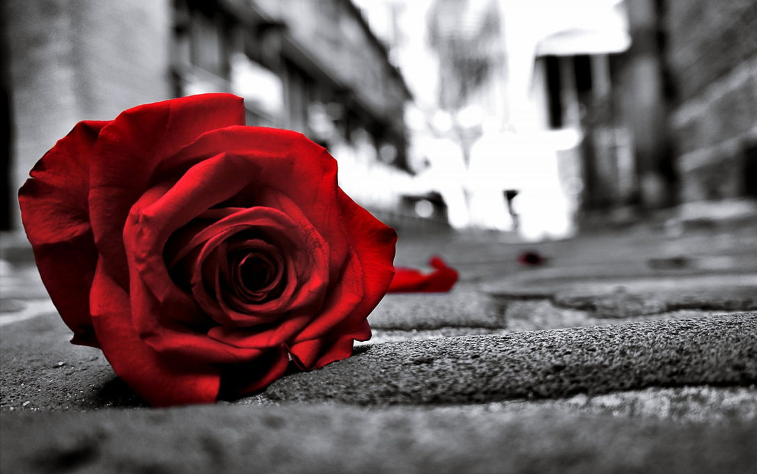 Yes. It's Ok To Be Sad On Valentine's Day (But Only For A Minute)