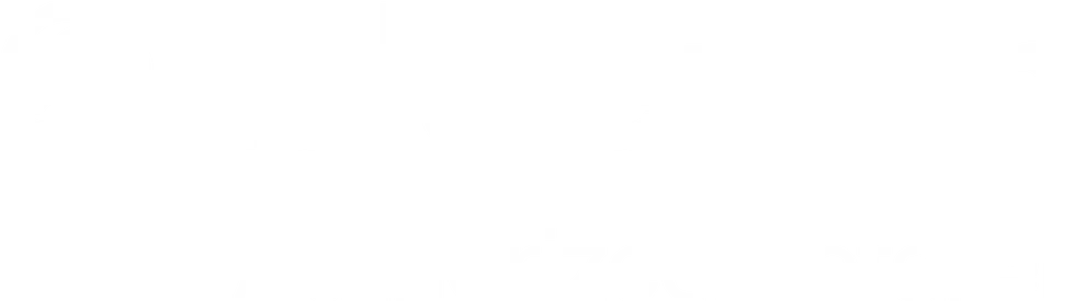 lululemon.webp