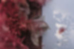 Pietro&Vale Polj -Wedding Paola & Matteo -301_websize.jpg