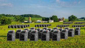 From Ideas to Crops: Embracing Growing Season on The Farm.