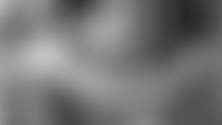 Guideposts of Training with Bruce Lee