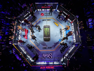 10 UFC Fights to Look Forward to in January 2025