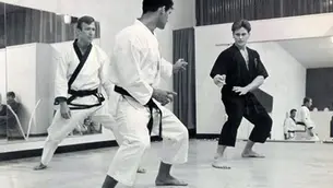 Joe Lewis' Okinawan Karate Roots