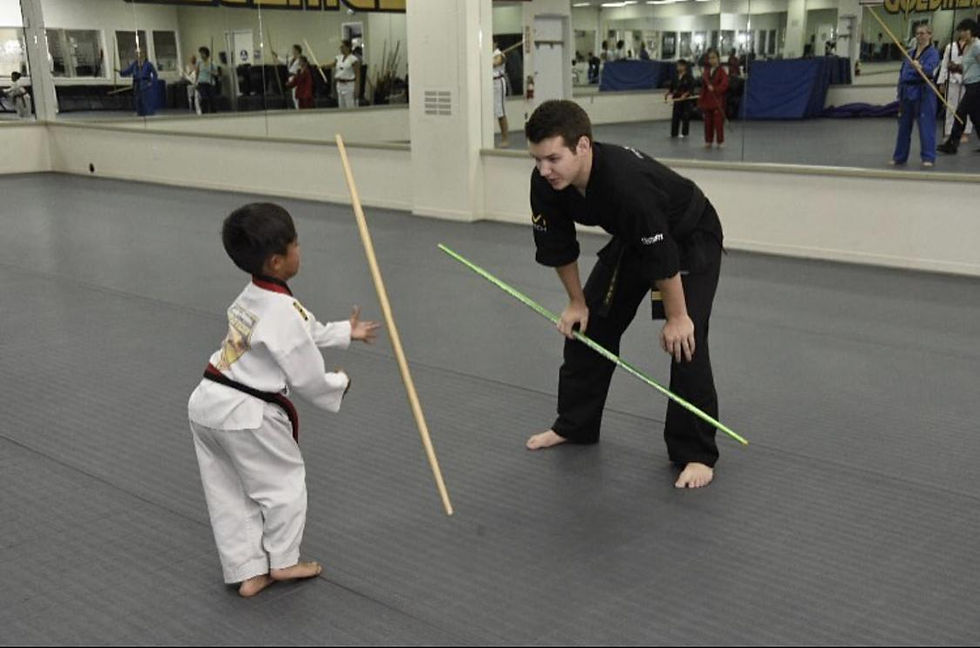 Sport Karate Success