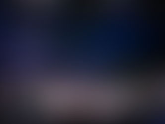 Training to be in MMA (as a Fan): Five Tips