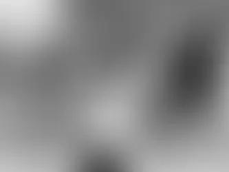 Bruce Lee's Legendary Power