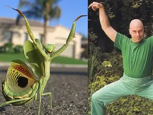 Martial Art Training Partners: Manimal, Macroweather and Man Part 1: Manimal