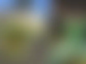 Martial Art Training Partners: Manimal, Macroweather and Man Part 1: Manimal