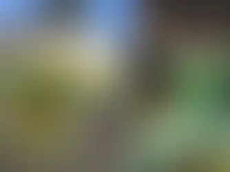 Martial Art Training Partners: Manimal, Macroweather and Man Part 1: Manimal