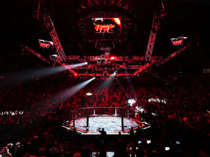 UFC’s New Blood: 10 Newcomers Who Dominated the Octagon in 2024