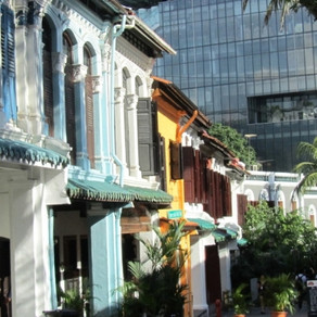 CULTURAL SUSTAINABILITY