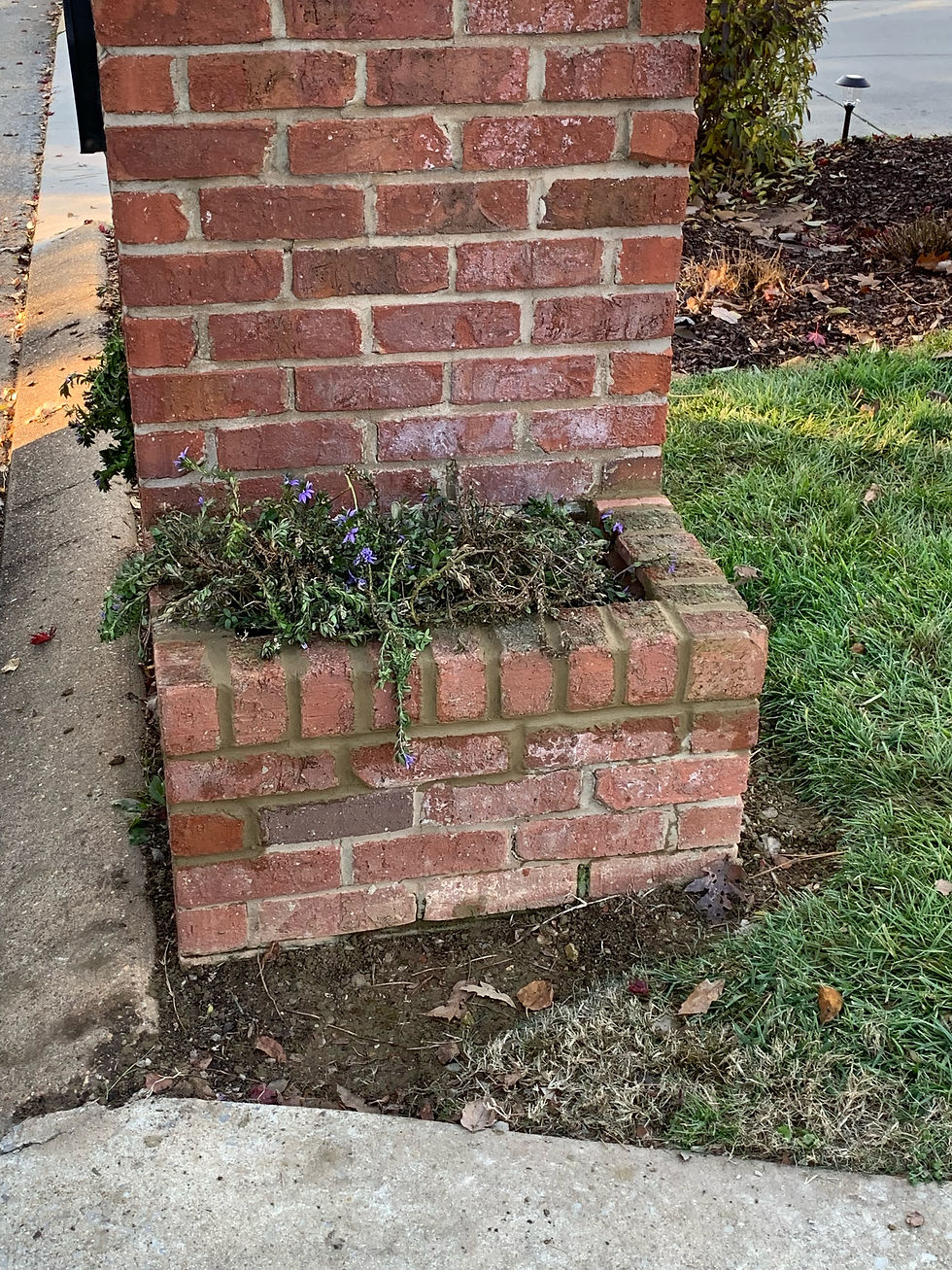 MAILBOX REPAIR