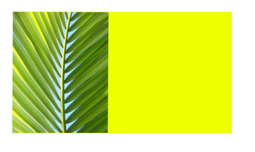 untitled (73).png