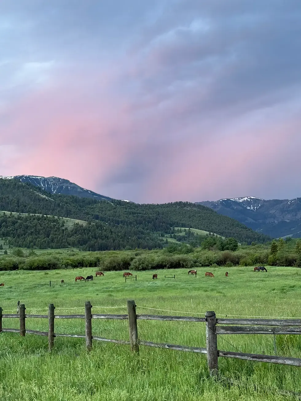 Green pasture, wooden fence, distant mountains, and pink sky.