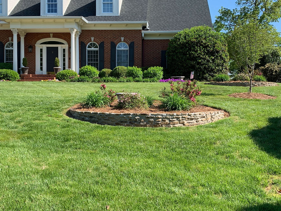 Garden Edging