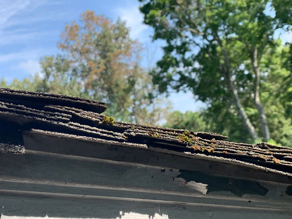 roof layers.jpeg
