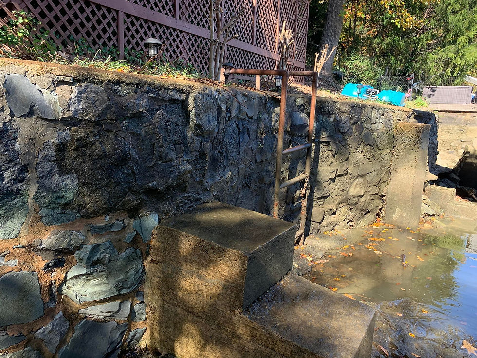 NATURAL SEA WALL REPAIR