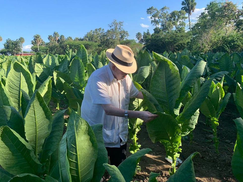 La fábrica La Aurora hace los cigarros de la Tabacalera Falto, es una de las más importantes de América Latina. La más antigua de República Dominicana.